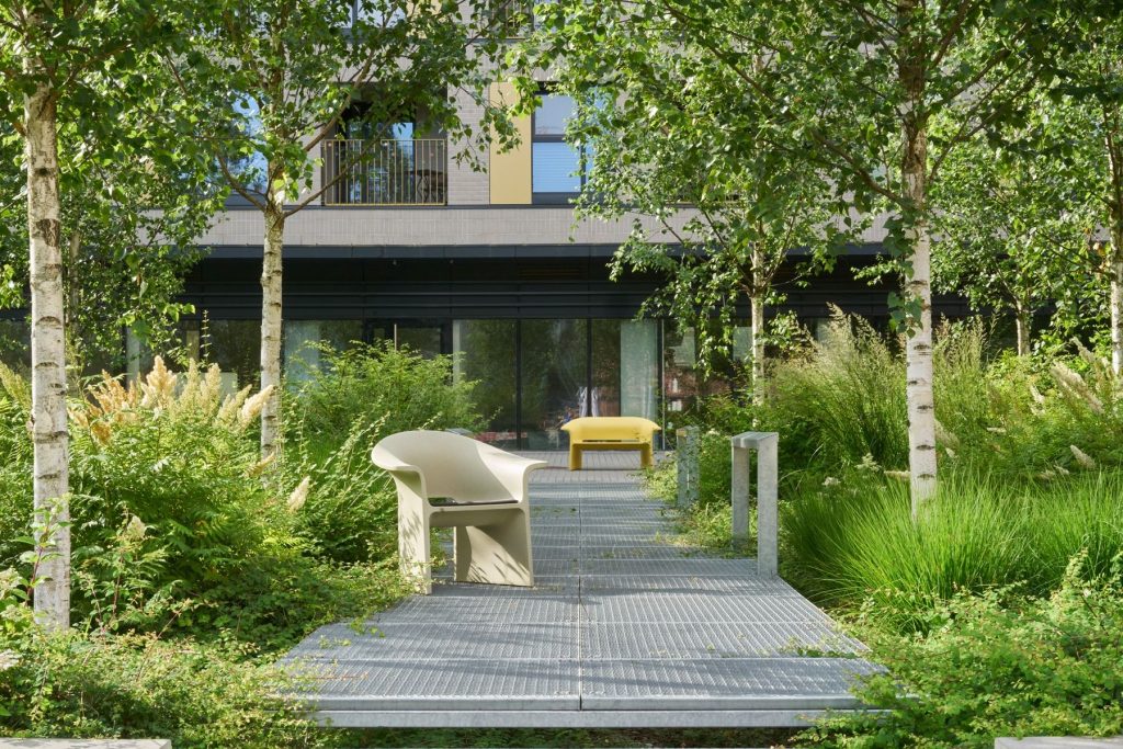 © photo by Grzegorz Wijata