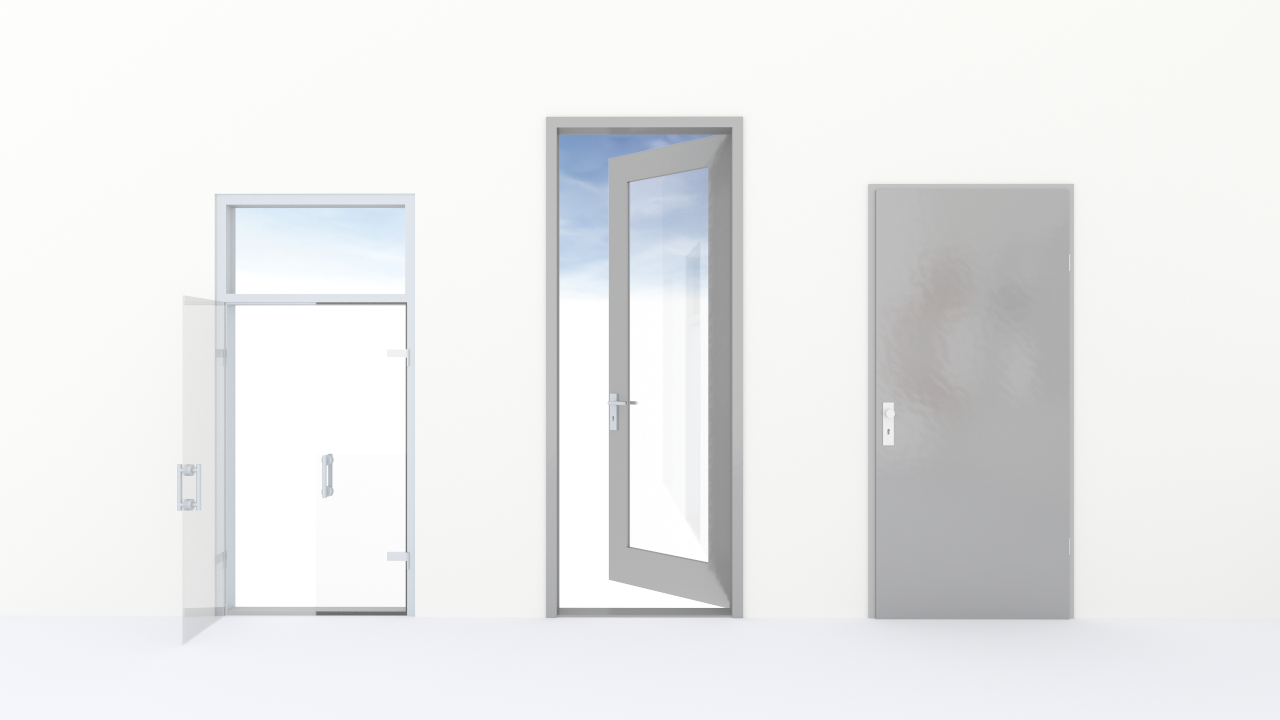 New Design Options for Doors