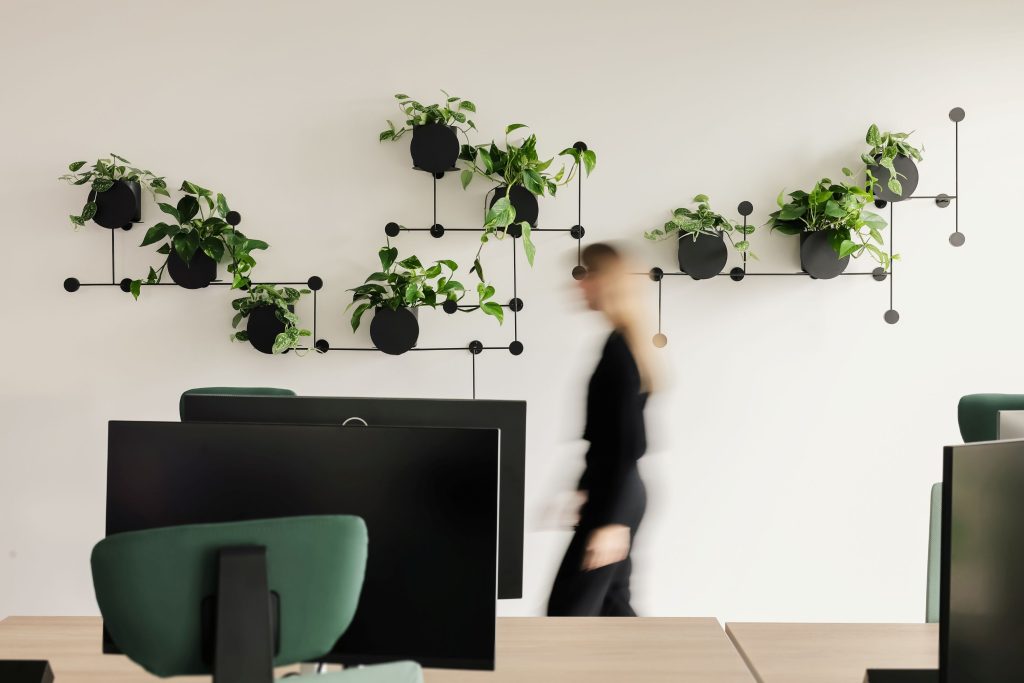 support mural pour plantes BUJNIE