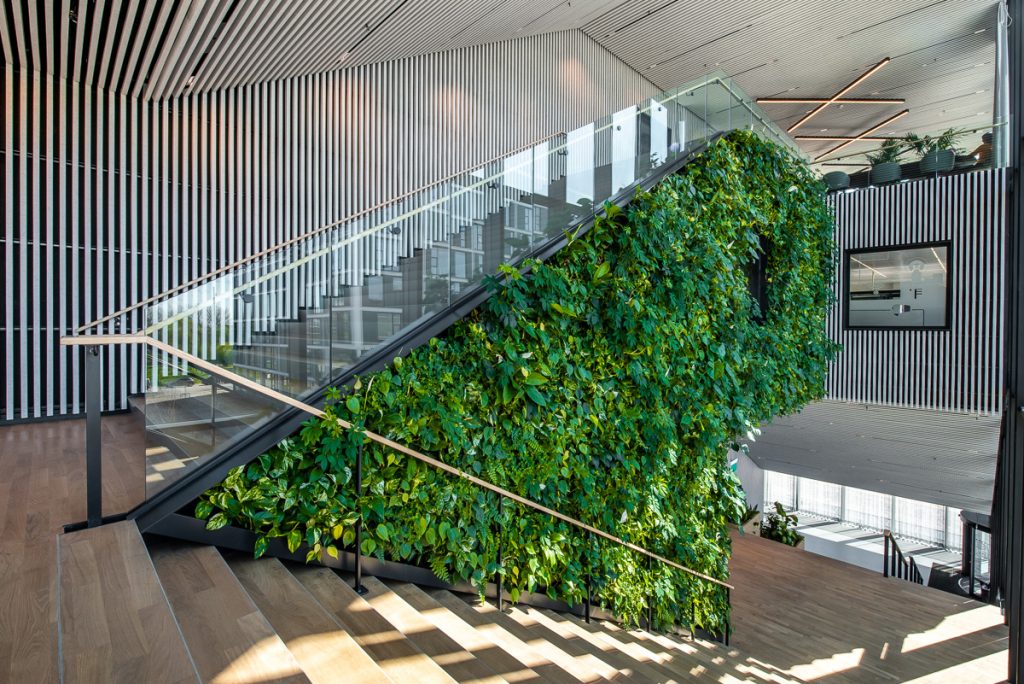 Groene trap wandscheiding
